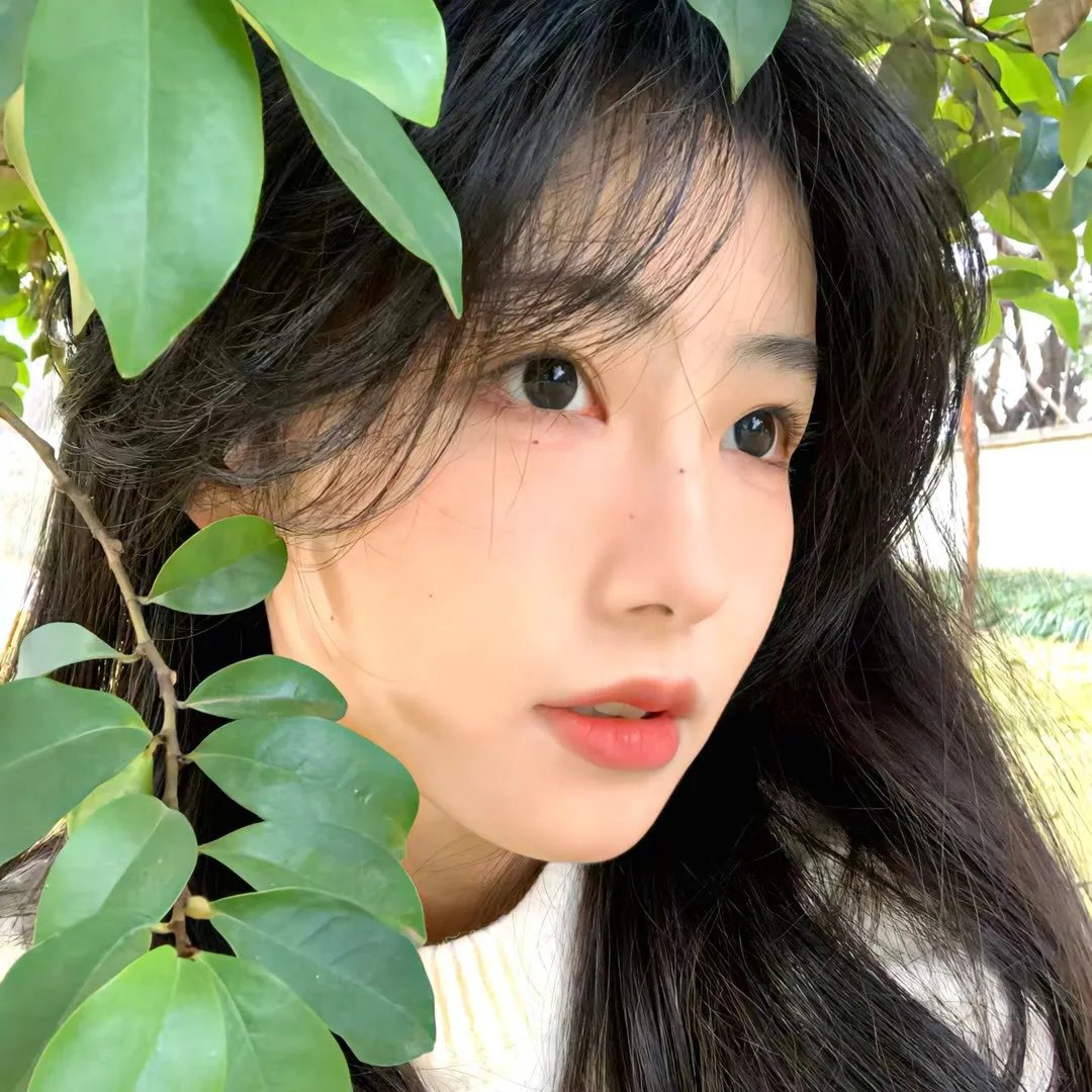 江照黎明