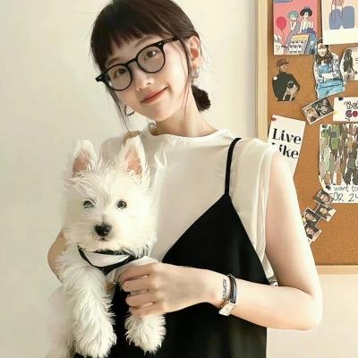 全能纳米机械狗